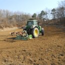 연동초교 이미지