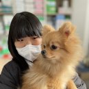 온양 발리동물병원 이미지