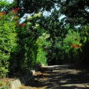 마실휴양농원 이미지