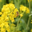 유구농장 이미지