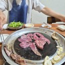 평사(남) | 경산 신상카페 까사평사 찍고 남산식육식당 후기