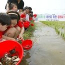 학전농장 이미지