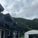 오쿨리펜션 이미지