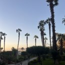 룩소르호텔(LUXOR HOTEL) | [이집트] 룩소르_나일강뷰가 참 멋진 룩소르 동안 호텔 '피라미사 호텔 Pyramisa Hotel'
