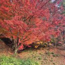 박약재 | 도산서원 입장료 주차 단풍 안동 아이와 부모님과 가볼만한곳