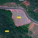 한사랑목장 이미지