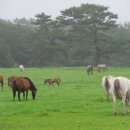 다정농장 이미지