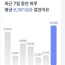 나눔공동체우리집 | 2026년 제1회 야 夜 한 플로깅 작전공원에서 함께한 저녁 플로깅, 작은실천 큰보람 우리 마을 환경정화봉사