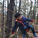 구립은행나무어린이집 이미지