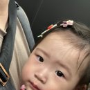 또와조아 이미지
