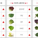 (주)청운