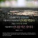 갓만나