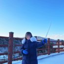 5198 | 자연 속에서 쉬어가기 좋은 곳, 철원 두루웰 숲속문화촌 숲속의 집 숙박부터 목재체험까지