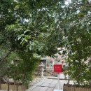 기계버스정류장화장실 | 항저우 미쉐린 비건식당 칭춘푸먼 庆春朴门(灵隐店) 혼밥후기