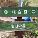 섬진강대나무숲길 이미지