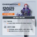 모이라 - 강남구 봉은사로1길 9 | 모이라