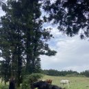 인경목장 이미지