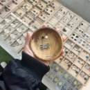 가죽 꽃팔찌 | 혜화역 데이트 코스 추천 플라비 혜화점 써지컬팔찌 후기