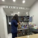 펫피아 동물병원 이미지