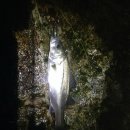 너울농장 이미지