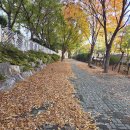 청해요 이미지