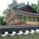 유성대로(유성-30) 이미지