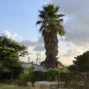 아끈두베 | 제주도 동쪽 가성비 감성숙소 10만원대 단독독채(16만원 아끈두베)