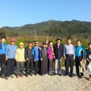 증도농장 이미지