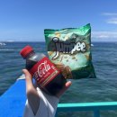 터칭힐 | 🇵🇭 보홀 3박5일 여행 0일, 1일차 (릴라고래상어 발리카삭 투어, 아반탄 반딧불 투어)