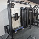 머슬원핏 배곧신도시점 이미지