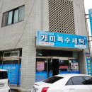 개미세탁 이미지