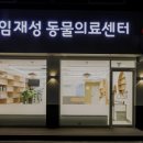 임재성동물의료센터 네이버블로그