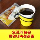 큰뿌리건강원