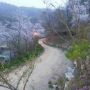 마실휴양농원 이미지