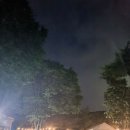 리버빌카페 | 포천 캠핑 포천리버빌캠핑&카페, 반려견 동반 가족 캠핑 추천