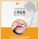 미드미치과