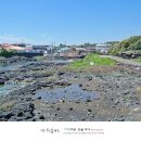 오조리-2 이미지