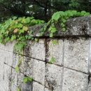 건강문화캠퍼스 화장실 이미지