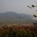 옛섬진강 이미지