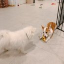 주견야독 이미지