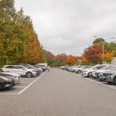 함월구민운동장 이미지