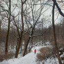 초아네 雪山 이미지