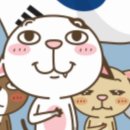 하모니카(1년) 이미지