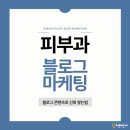 (단기)블로그마케팅전문가 | [공지] 피부과 블로그 마케팅, 고객이 먼저 찾게 만드는 비밀