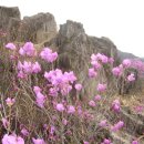 행복동산 이미지