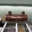 대만 타오위안공항 2터미널 에바항공 인피니티 라운지 후기 + 아시아나항공 비즈니스 탑승기