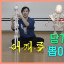 [ 견갑골의 위치 ] 체형교정을 만드는 견갑골의 정확한 위치 찾기 / 견갑대 앞뒤확장 / 전거근과 능형근의 등척성 수축 이미지