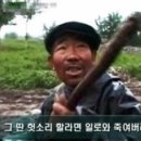 햇고을 이미지