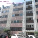 사파동407 이미지