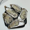중앙수산 판매팀 23 | 노량진수산시장 부건꽃게 삼베체굴 바위 후기｜1kg 15,000원 생굴 직접 먹어본 솔직 후기🦪